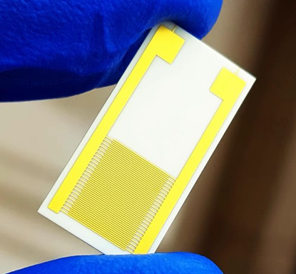 Interdigital Electrodes